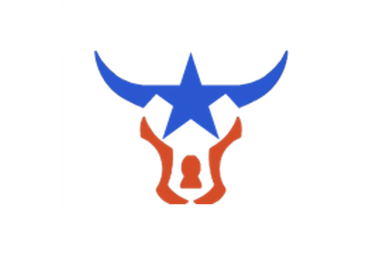 Bull Star Logo 768x521